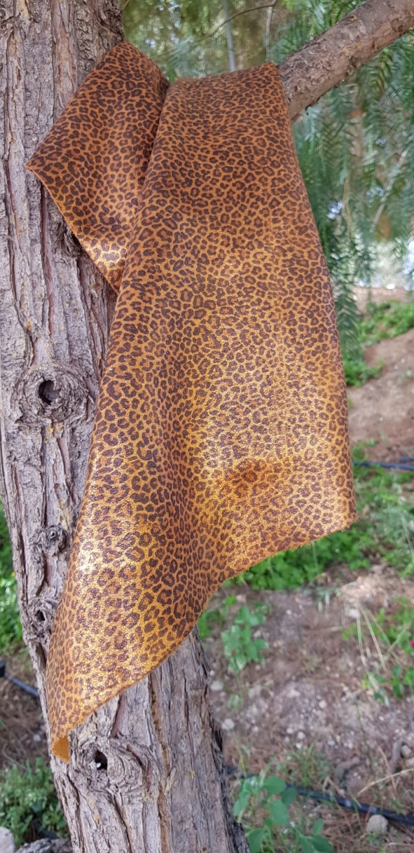 Cuervo Leopardo